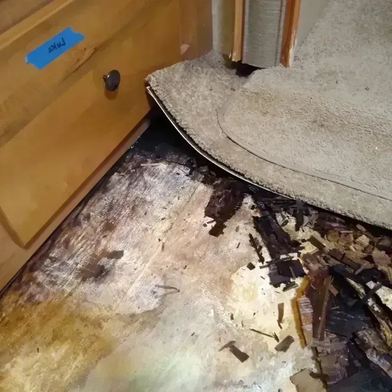 Wood Floor Water Damage in North Miami, FL